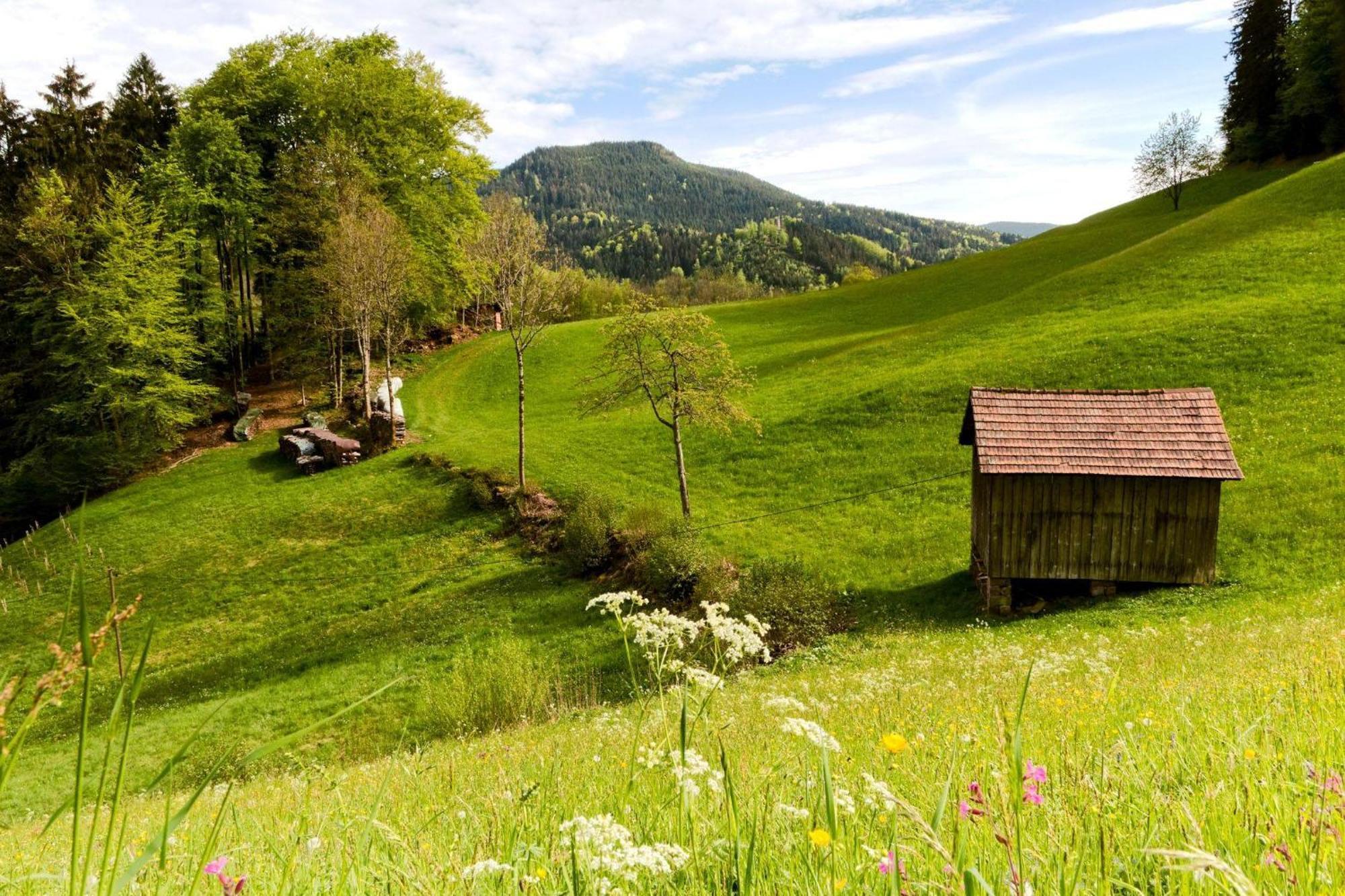 Ferienwohnung Am Kapellenberg - Am Rande Des Nationalparks Schwarzwald Bad Peterstal-Griesbach Eksteriør billede