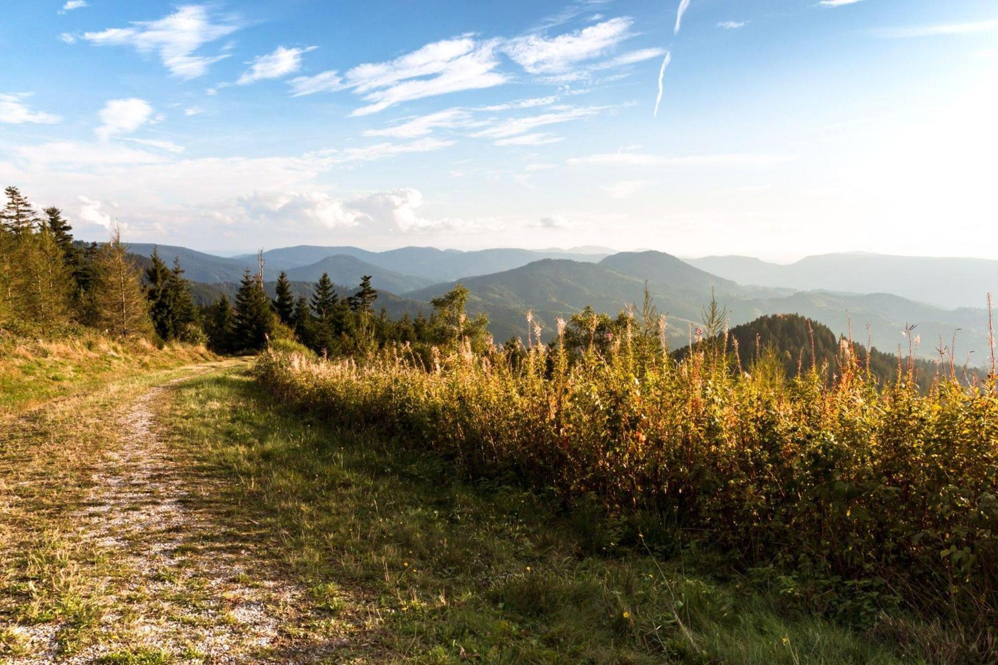 Ferienwohnung Am Kapellenberg - Am Rande Des Nationalparks Schwarzwald Bad Peterstal-Griesbach Eksteriør billede